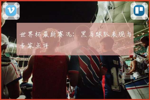 世界杯最新赛况:黑马球队表现与专家点评