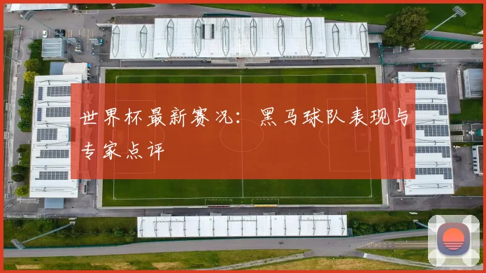 世界杯最新赛况：黑马球队表现与专家点评