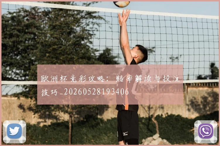 欧洲杯竞彩攻略:赔率解读与投注技巧_20260528193406