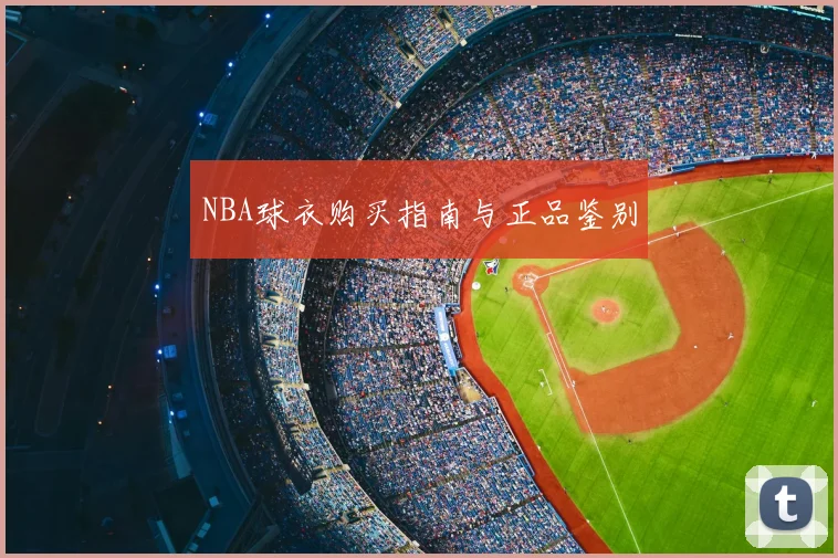 NBA球衣购买指南与正品鉴别